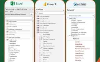 SPN Universal Data Models for BI